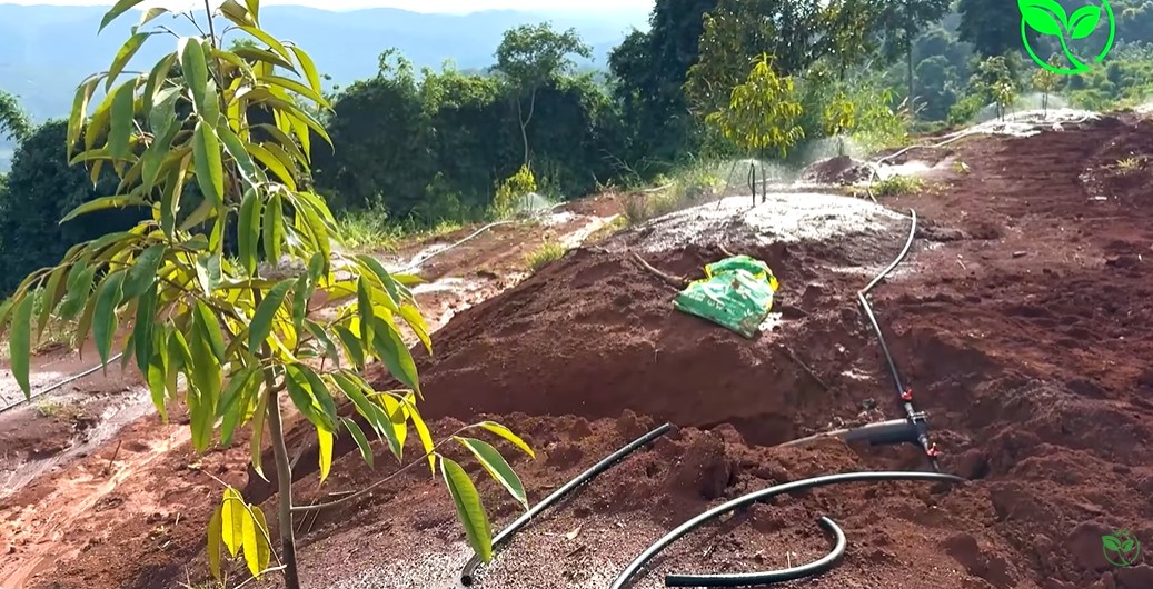 lap dat he thong tuoi tu chay tai lam dong